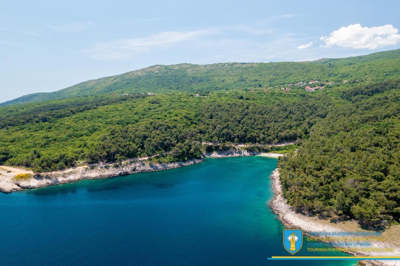 Villa Diamond Yourcroatiaholiday Drenje  外观 照片
